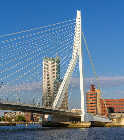 Untitled design (28) Skyline van Rotterdam, prominent zichtbaar is de Erasmusbrug